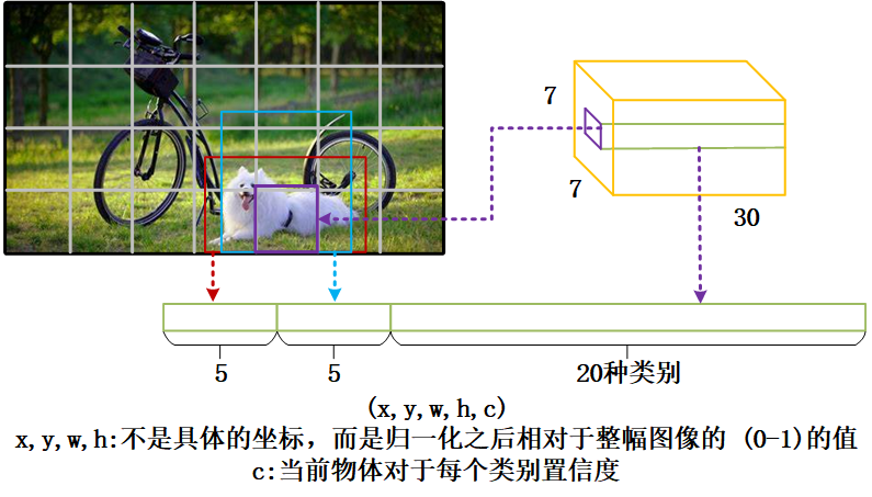 YOLOv1 的网格划分与预测示意