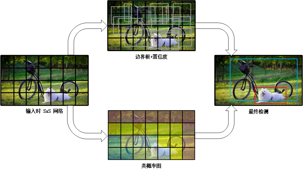 类别概率与边界框预测共同组成最终输出